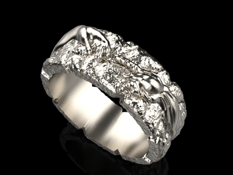 Hand Of God Ring Creation Of Adam model 713 3D Print Model