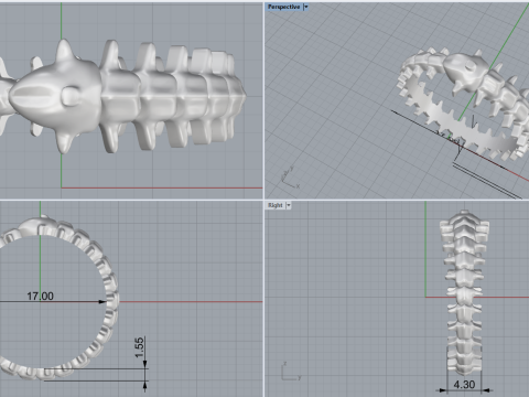 Anello in osso di serpente modello 714 Modello di stampa 3D
