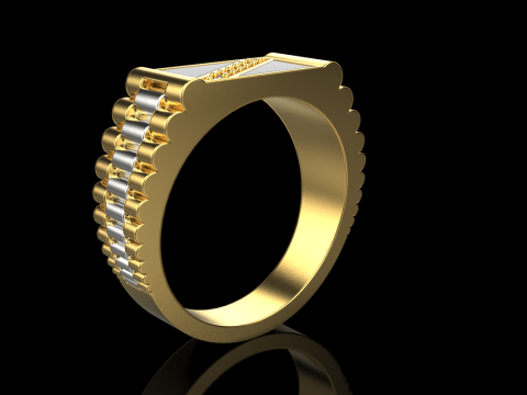 Chain signet ring model 730 3D Print Model