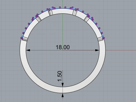 Ring model 740 3D Print Model