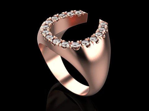Horseshoe signet ring model 750 3D Print Model