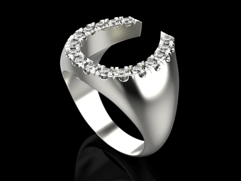 Horseshoe signet ring model 750 3D Print Model