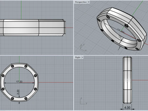 Screw octagon ring model 766 3D Print Model