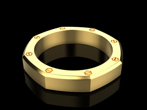 Screw octagon ring model 766 3D Print Model