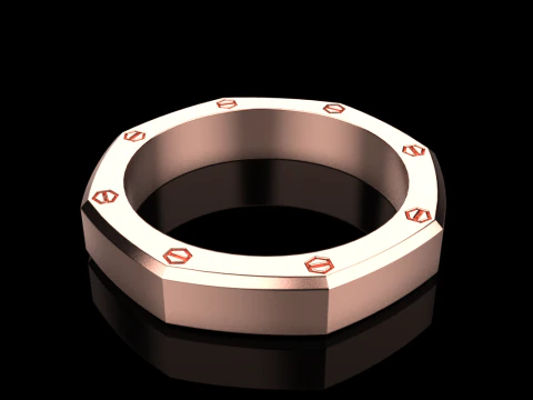 Screw octagon ring model 766 3D Print Model