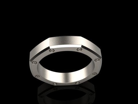 Винтовое восьмиугольное кольцо модель 766 3D Принт Модель