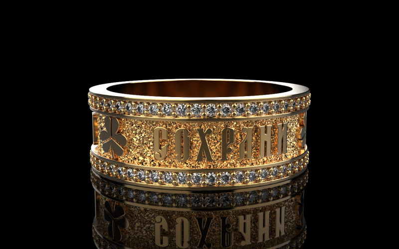 Bewaar en bescherm ringmodel 699 3D printmodel .c4d .max .obj .3ds .fbx .stl .blend 