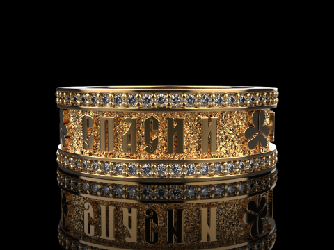 Bewaar en bescherm ringmodel 699 3D printmodel