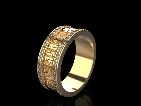 Bewaar en bescherm ringmodel 699 3D printmodel