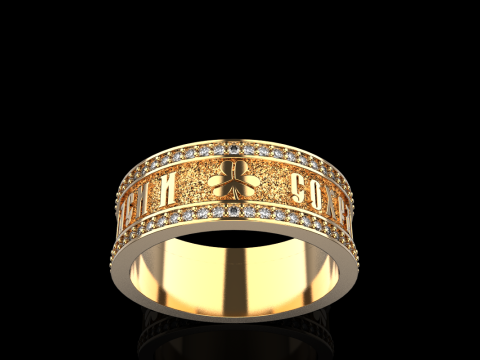 Bewaar en bescherm ringmodel 699 3D printmodel