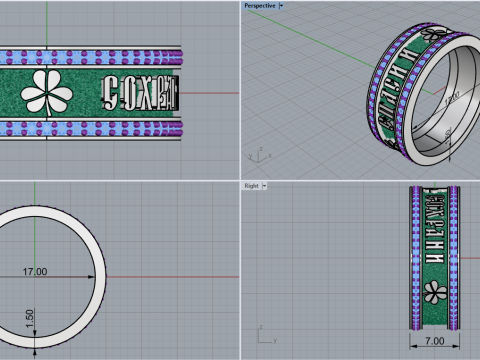 Bewaar en bescherm ringmodel 699 3D printmodel