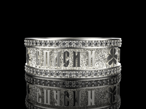 Bewaar en bescherm ringmodel 699 3D printmodel