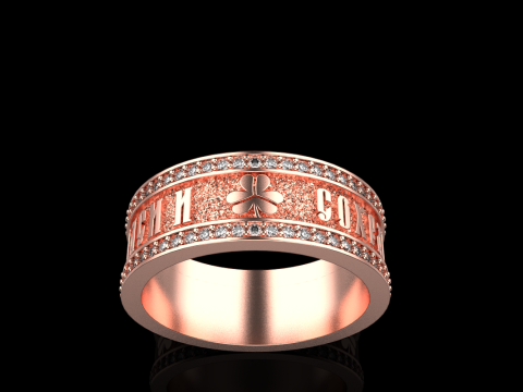 Bewaar en bescherm ringmodel 699 3D printmodel