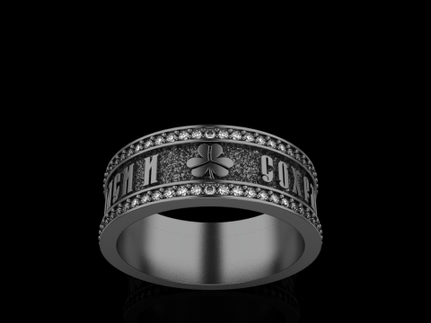 Bewaar en bescherm ringmodel 699 3D printmodel