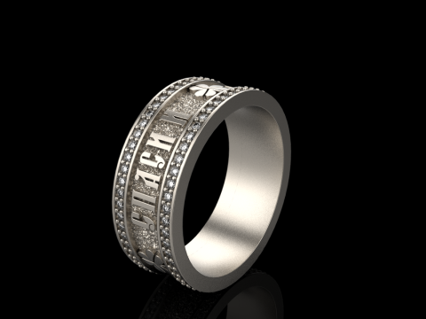 Bewaar en bescherm ringmodel 699 3D printmodel