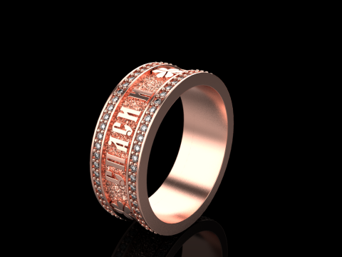 Bewaar en bescherm ringmodel 699 3D printmodel