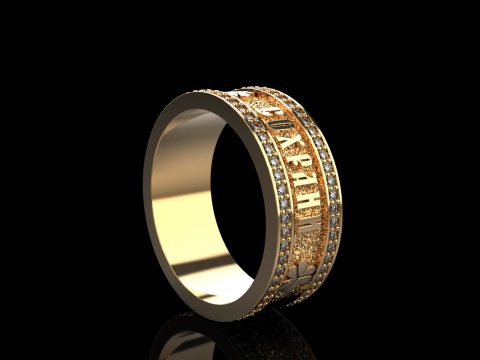 Bewaar en bescherm ringmodel 699 3D printmodel