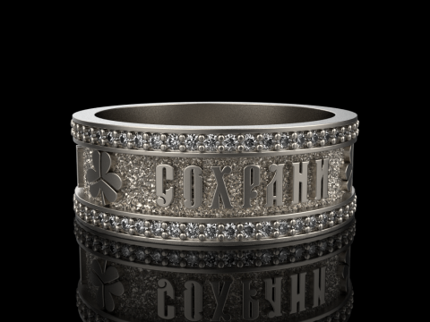 Bewaar en bescherm ringmodel 699 3D printmodel