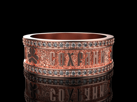 Bewaar en bescherm ringmodel 699 3D printmodel