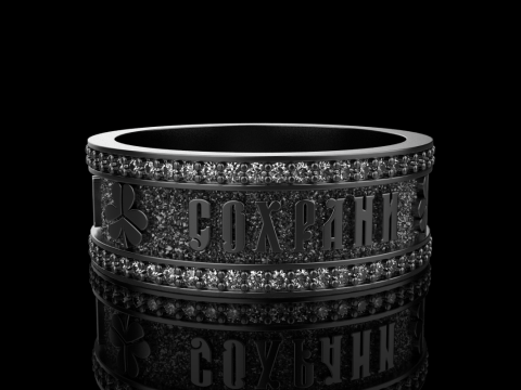 Bewaar en bescherm ringmodel 699 3D printmodel