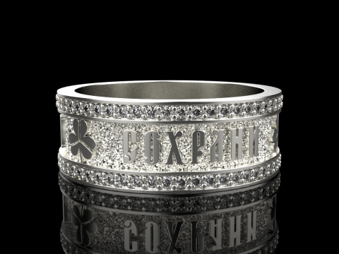 Bewaar en bescherm ringmodel 699 3D printmodel