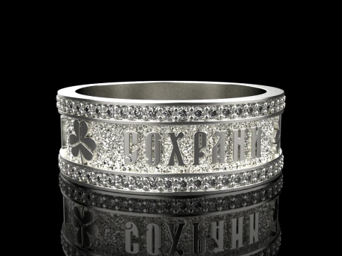 Save and protect ring model 699 3D Print Model