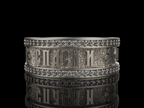 Bewaar en bescherm ringmodel 699 3D printmodel