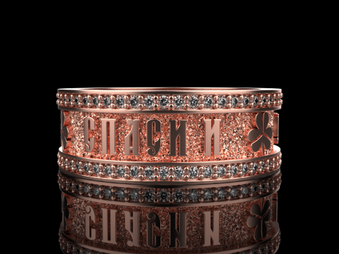 Bewaar en bescherm ringmodel 699 3D printmodel