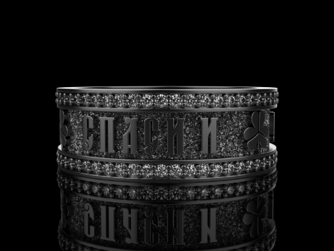 Bewaar en bescherm ringmodel 699 3D printmodel