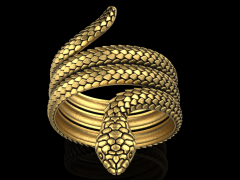 Snake ring model 672 3D Print Model