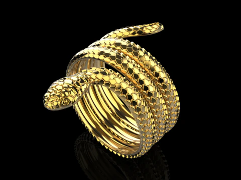 Snake ring model 672 3D Print Model