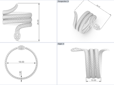 Snake ring model 672 3D Print Model
