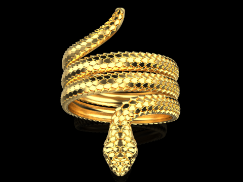 Snake ring model 672 3D Print Model