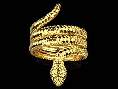 Snake ring model 672 3D Print Model