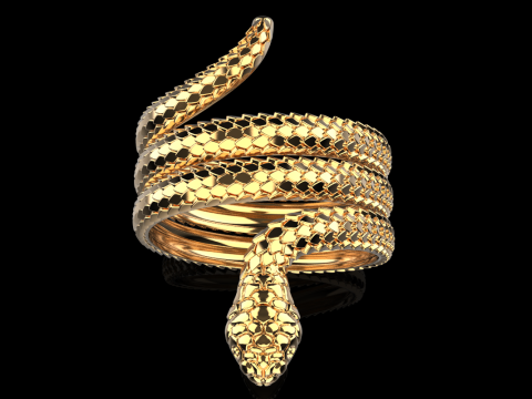 Snake ring model 672 3D Print Model