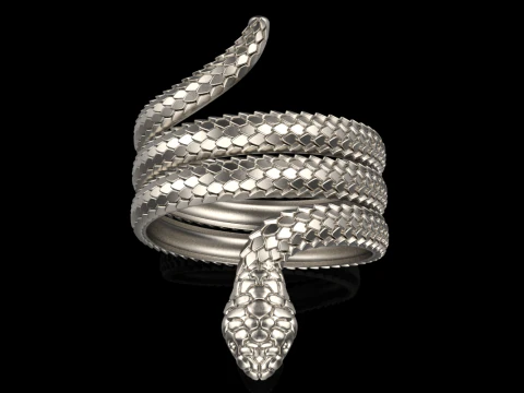 Snake ring model 672 3D Print Model