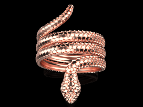 Snake ring model 672 3D Print Model