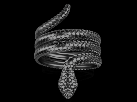 Snake ring model 672 3D Print Model