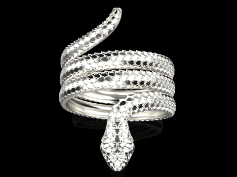 Snake ring model 672 3D Print Model