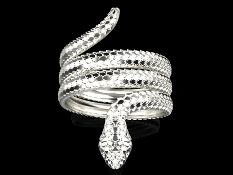 Snake ring model 672 3D Print Model