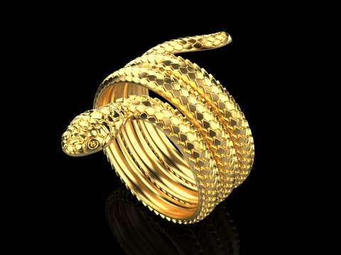Snake ring model 672 3D Print Model