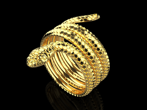 Snake ring model 672 3D Print Model