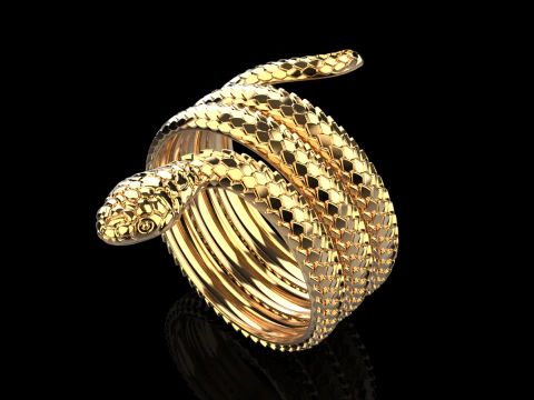 Snake ring model 672 3D Print Model