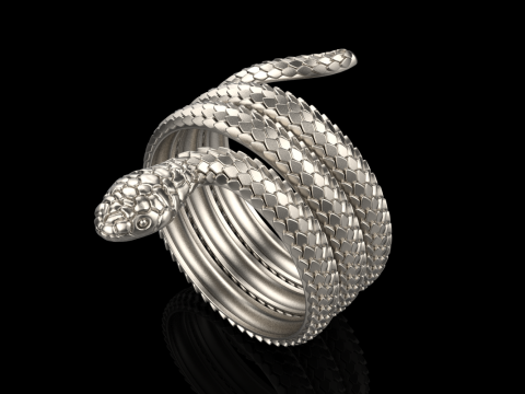Snake ring model 672 3D Print Model