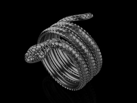 Snake ring model 672 3D Print Model