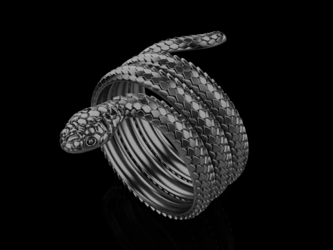 Snake ring model 672 3D Print Model