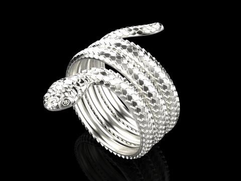 Snake ring model 672 3D Print Model