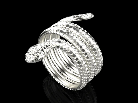 Snake ring model 672 3D Print Model