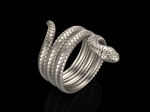 Snake ring model 672 3D Print Model