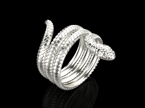 Snake ring model 672 3D Print Model